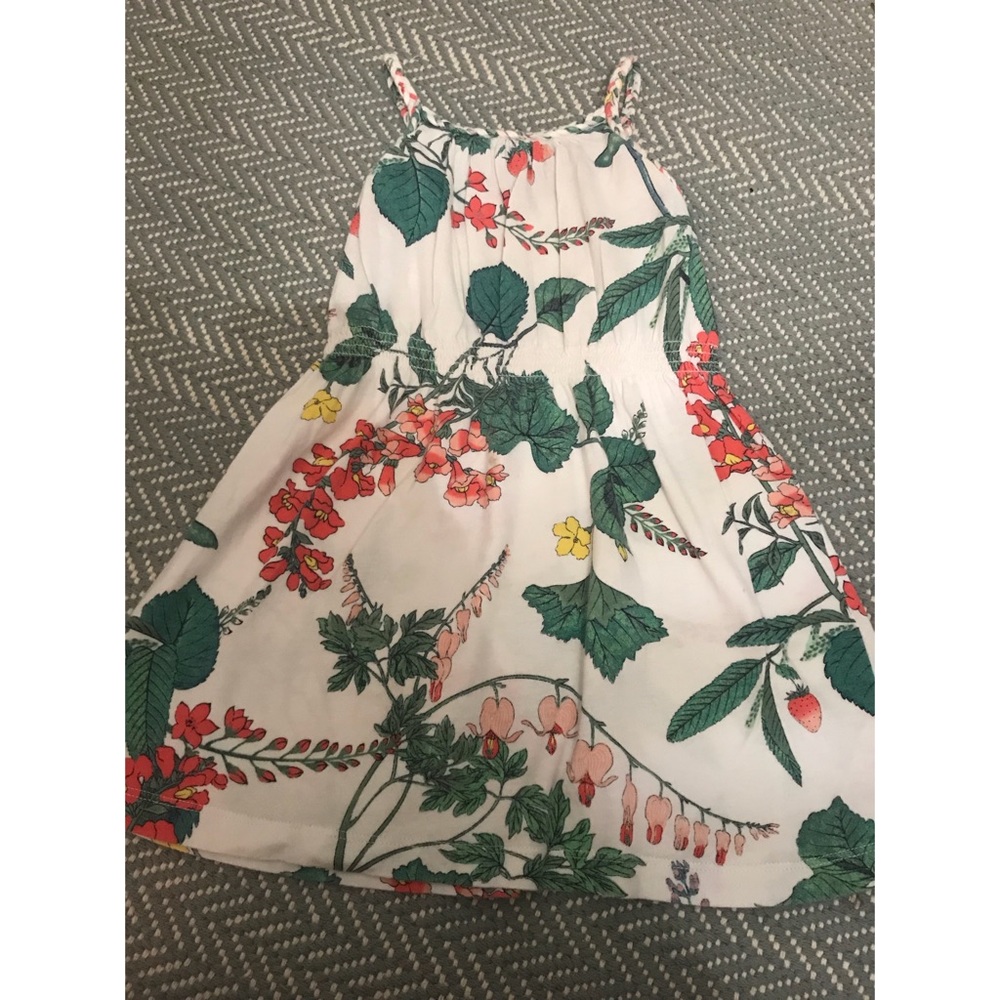 Baby Gap Girls Floral Print Dress (3T)